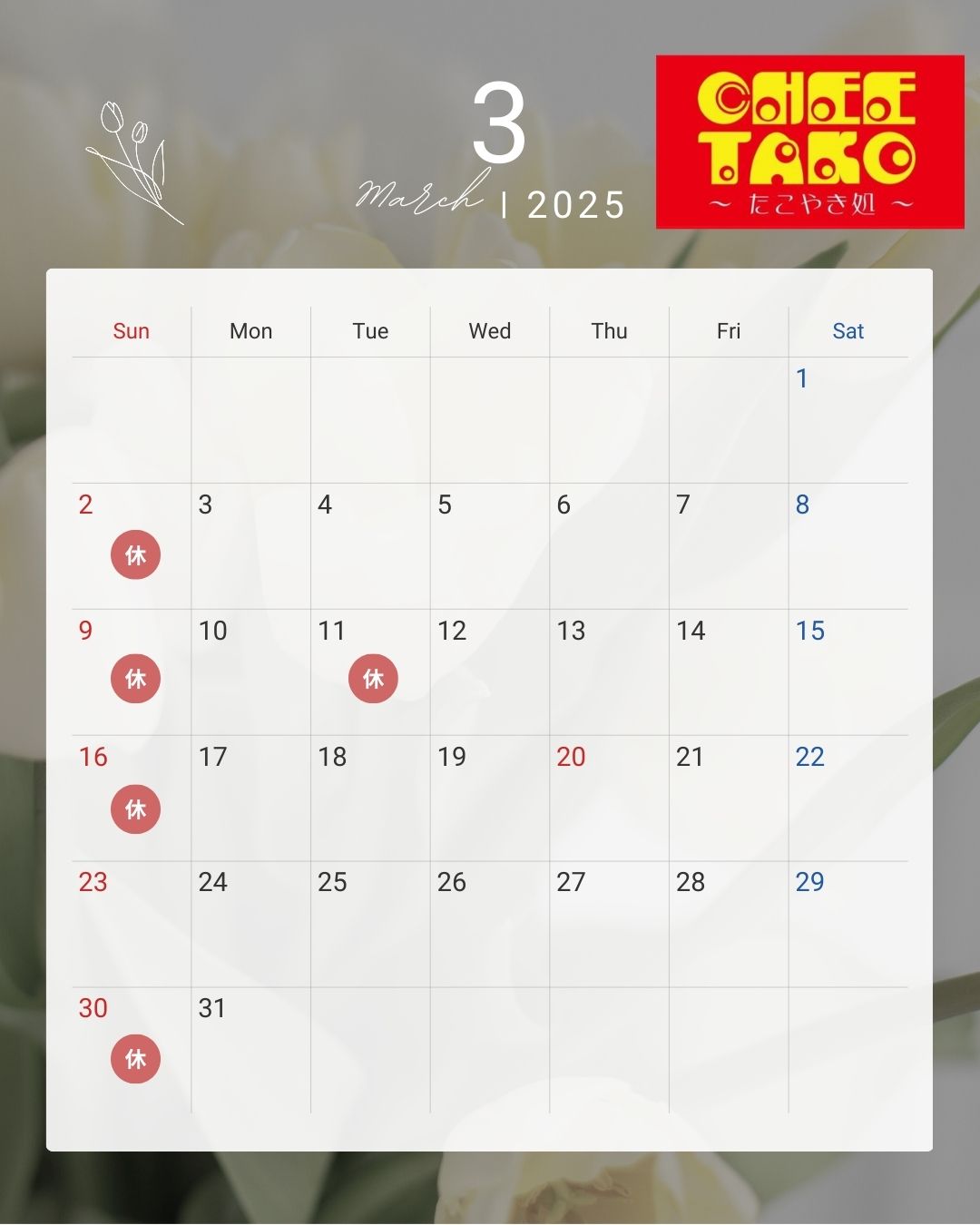 小倉のたこ焼き処ちーたこ